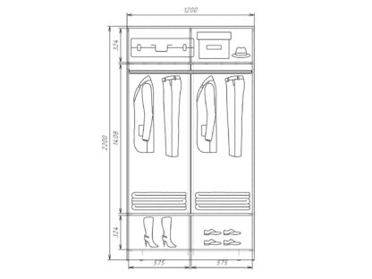 Шкаф купе шк2212с2